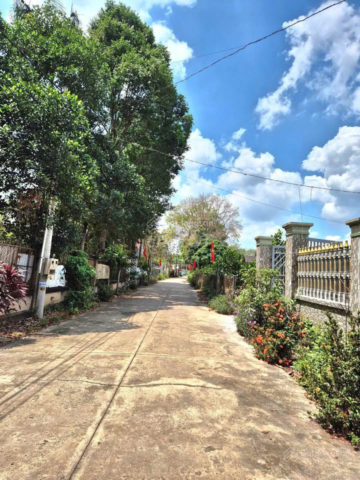 Bán đất chính chủ tại đường dh507, dt 262.4m², đúng 460 triệu an linh, phú giáo, bình dương