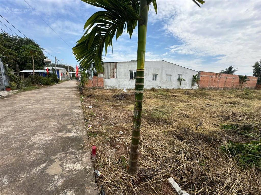 Bán đất chính chủ tại dh507, an linh, phú giáo, diện tích 500m² đúng giá 750 triệu