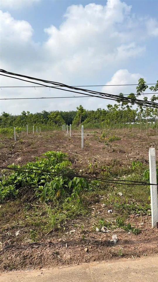 Chính chủ bán đất tại dh507, an long, tp.hcm, diện tích 250m2 đúng giá 500 triệu