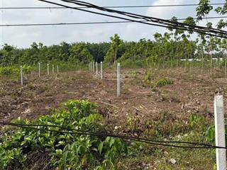Chính chủ bán đất tại dh507, an long, tp.hcm, diện tích 250m2 đúng giá 500 triệu