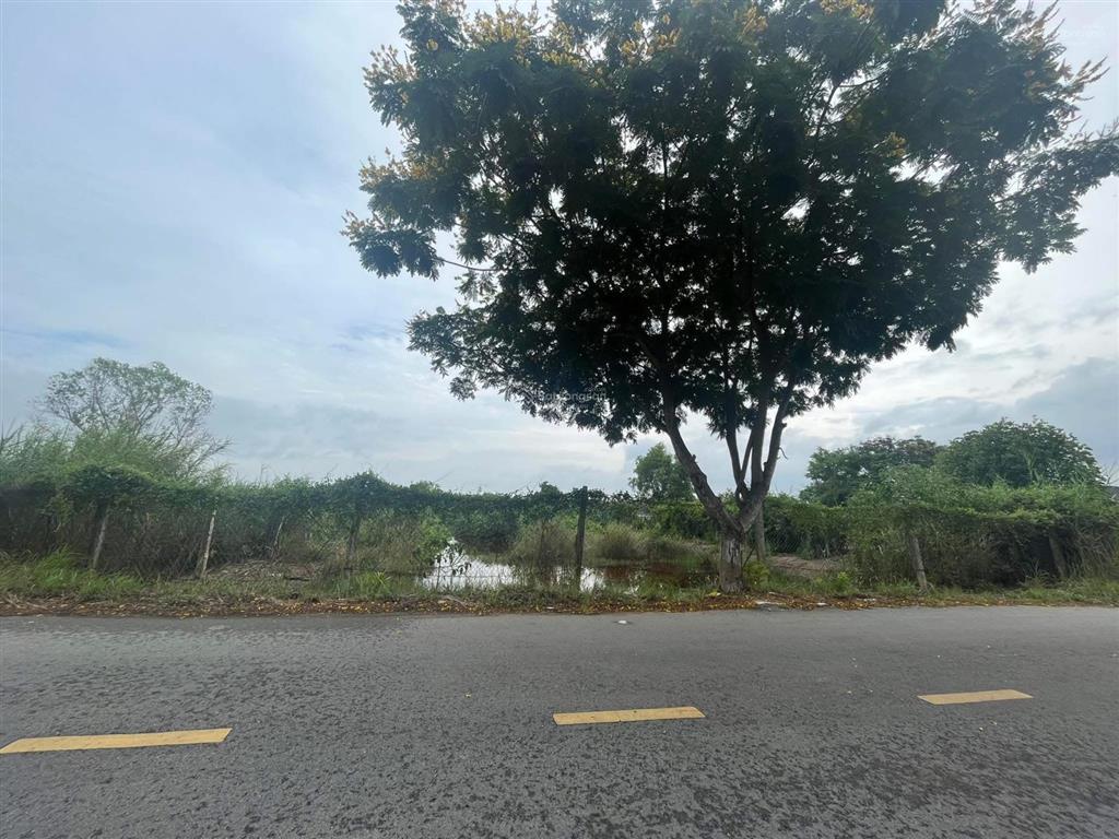 Chú tôi cần bán 9482m2 đất đường lý nhơn , cần giờ cách ubnd lý nhơn 1.9 km