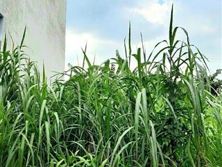 Đất trường lưu long trường 62m² (4x15,5m), đường 8m, gần chợ long trường, giá 3,83 tỷ