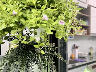 Đất thổ cư 160 m2, nhà 57 m2, đất hình thang, nở hậu