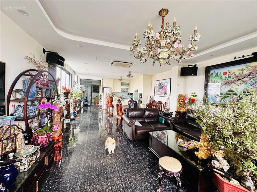 Bán gấp phố kinh doanh ô tô tránh thanh xuân. dt 105m2, mặt tiền 6m, giá chào 36 tỷ
