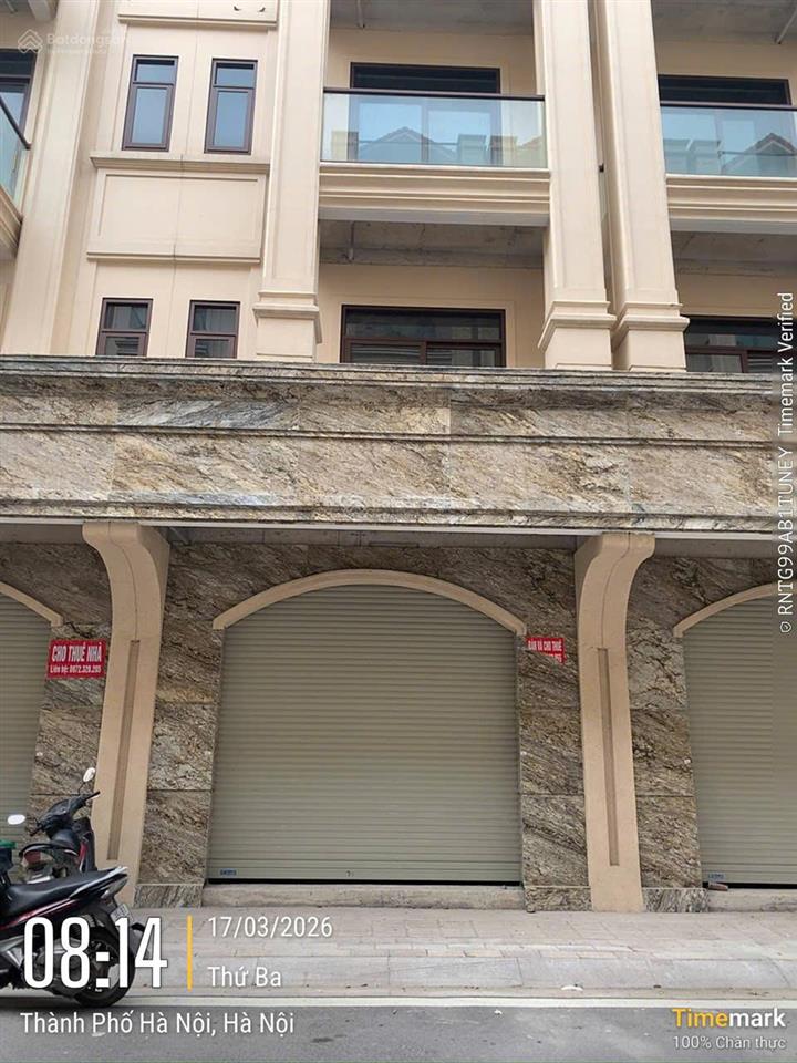 Chính chủ gửi bán cắt lỗ căn liền kề him lam thường tín, sẵn sổ, vào ở ngay