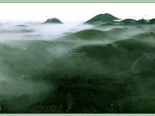 Bán 3 mẫu vườn cà phê  giá 1 tỷ 50 triệu / 1 mẫu  đt 0986 028 *** gặp chính chủ a kiệt