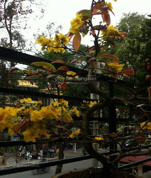 Bán nhà phố nguyễn thượng hiền