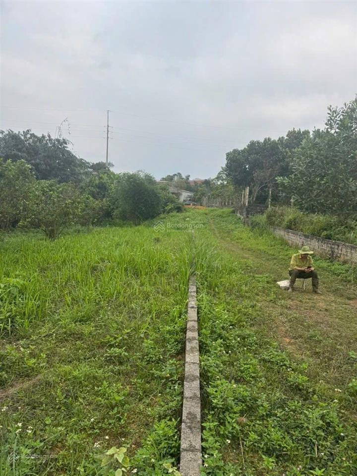 Bán lô đất đường vào trại cai nghiện số 1