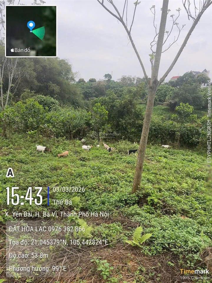 Bán lô đất đường vào trại cai nghiện số 1