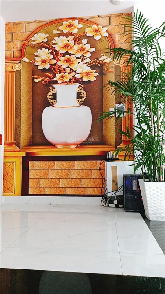 Mặt tiền nguyễn thị xinh khu phố sang xịn 5x20 4 lầu giá 8.6 tỷ