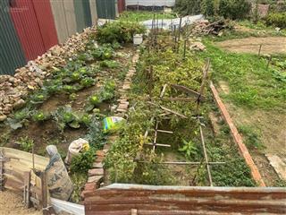 Chính chủ cần bán nhanh lô đất đẹp tại hương mạc từ sơn diện tích 51m, mặt tiền rộng, đất vuông