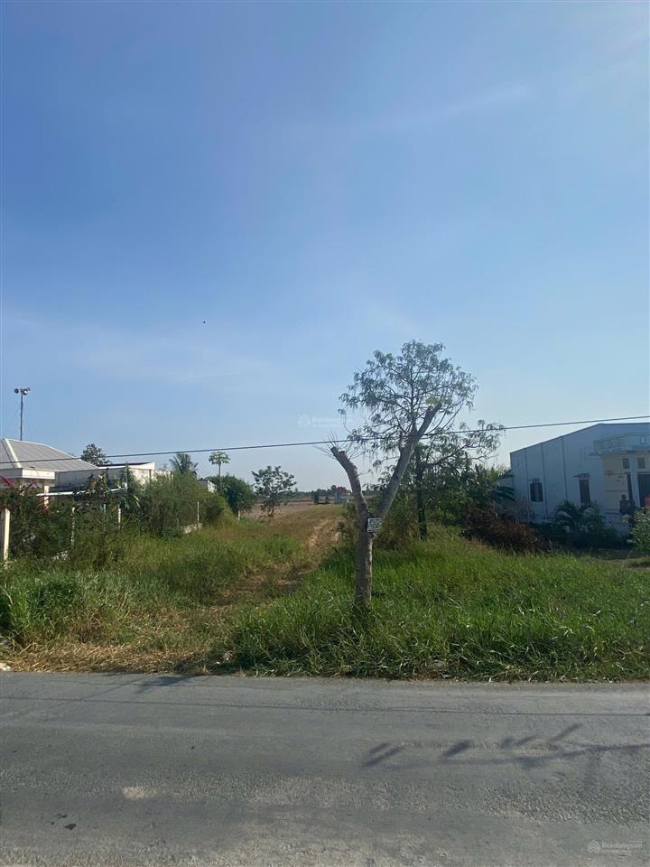 Bán đất tại ao gòn, 2,5 tỷ, 240 m2, pháp lý đầy đủ, giá ưu đãi