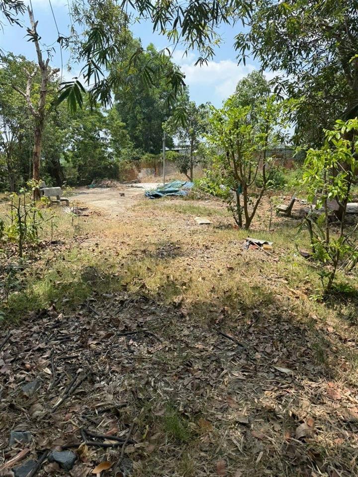 Bán đất hưng long bình chánh (hcm)