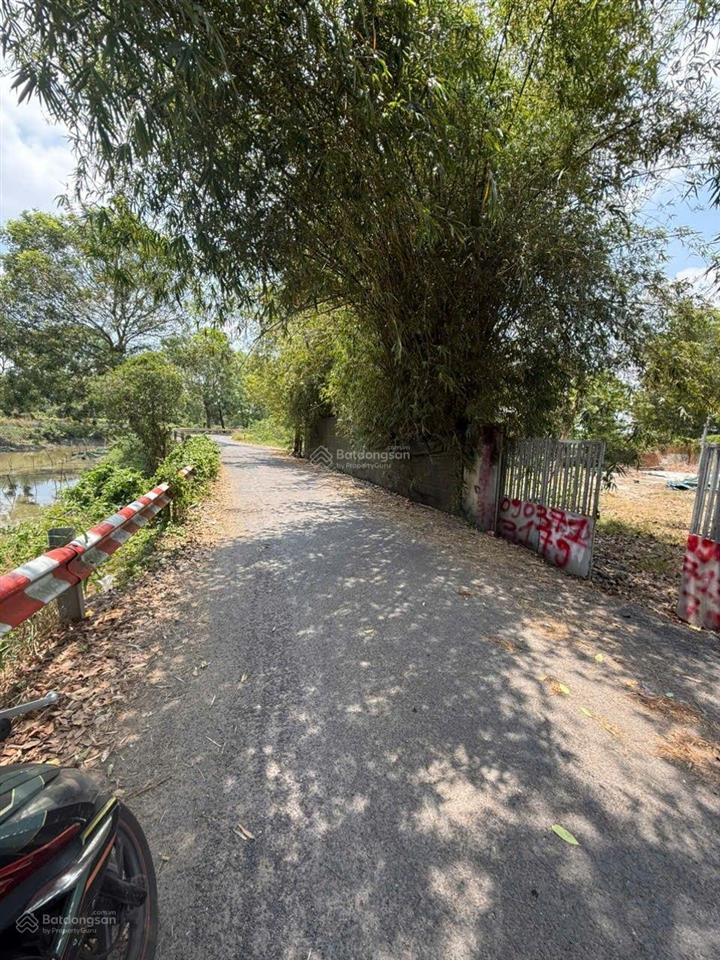 Bán đất hưng long bình chánh (hcm)