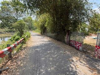 Bán đất hưng long bình chánh (hcm) cln