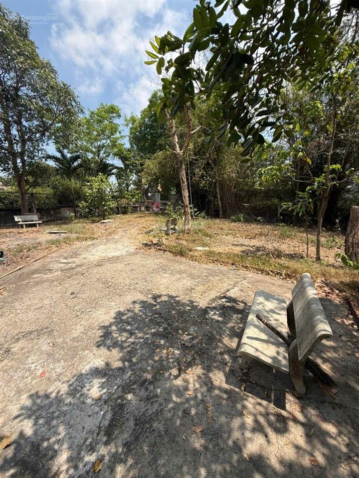 Bán đất hưng long bình chánh (hcm)