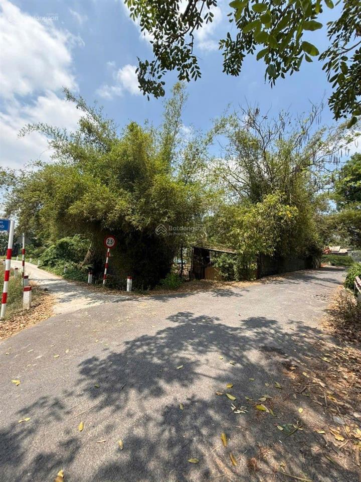 Bán đất hưng long bình chánh (hcm)