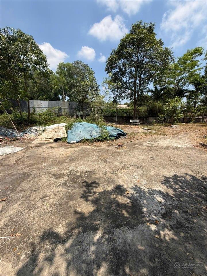 Bán đất hưng long bình chánh (hcm)