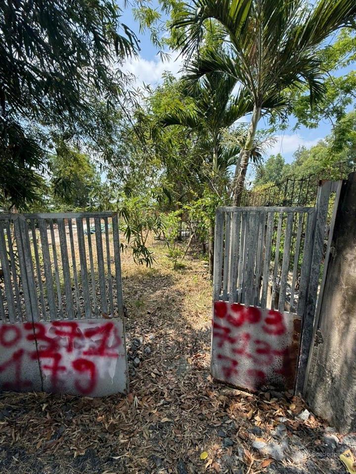 Bán đất hưng long bình chánh (hcm)