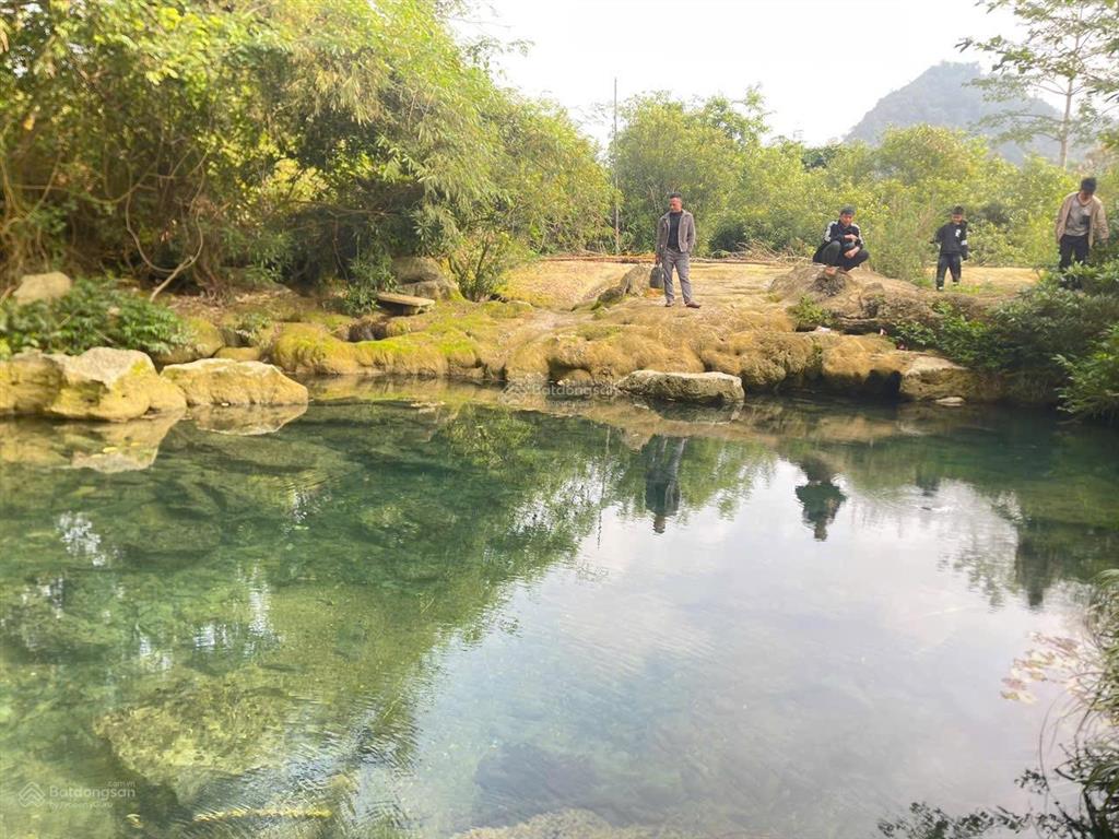 Đất rẻ nhất thạch thành thanh hoá