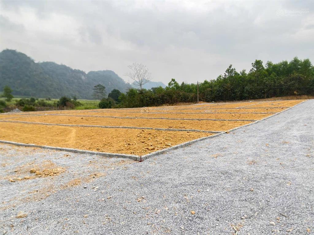 Đất rẻ nhất thạch thành thanh hoá