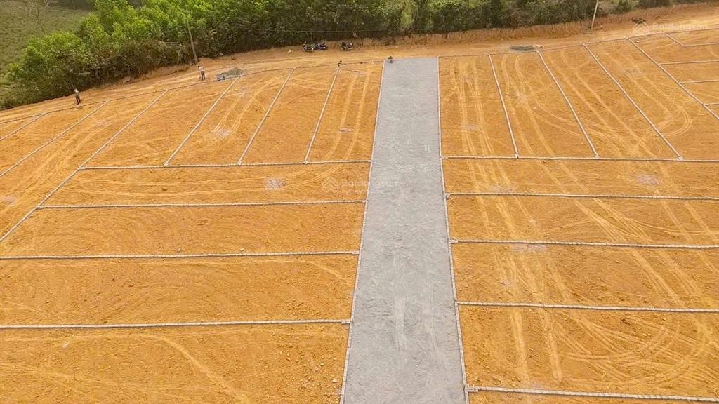 Đất rẻ nhất thạch thành thanh hoá