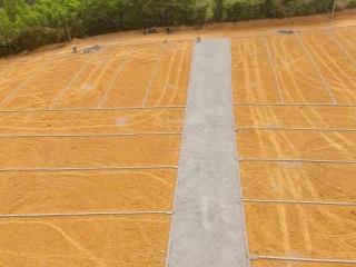 Đất rẻ nhất thạch thành thanh hoá