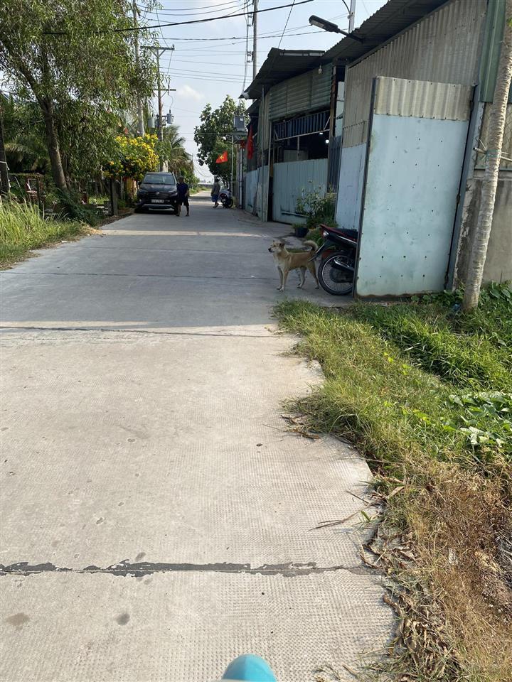 Đất gần tt đức hoà (~1.9km)  ngay trục 823d và 825