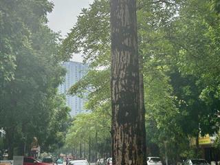 Chính chủ CẦN TIỀN, Bán gấp TRONG THÁNG NÀY 