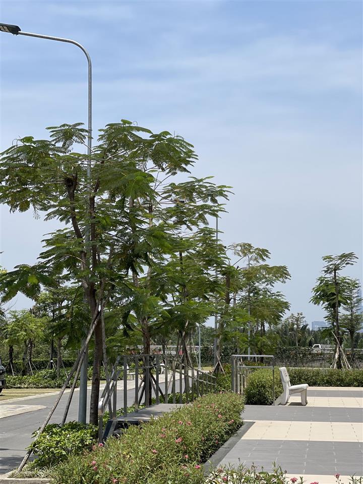 Cơ hội cuối cùng để sở hữu noxh ở hcm tại block c, tầng cao, view sông, nhận nhà ngay. 0945 955 ***