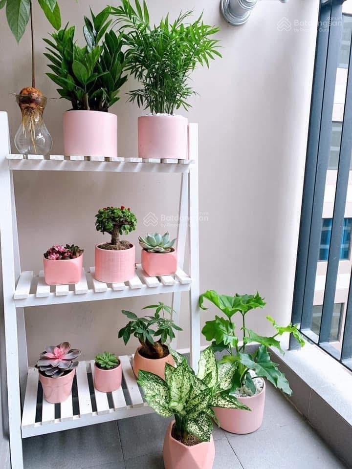 Bán cc cao cấp sdu trần phú, 2n2vs, sđcc, nhà đẹp ở luôn, có tl