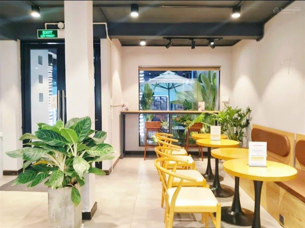 Bán nhà mặt phố đào duy anh, 67 tỷ, 255.3m2, hàng hiếm