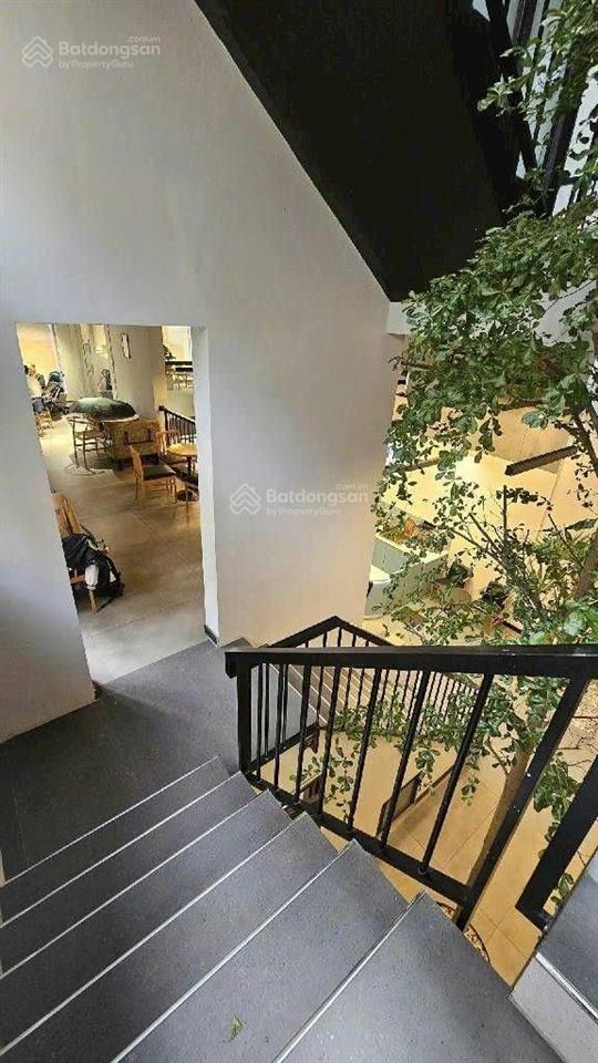 Bán nhà mặt phố đào duy anh, 67 tỷ, 255.3m2, hàng hiếm