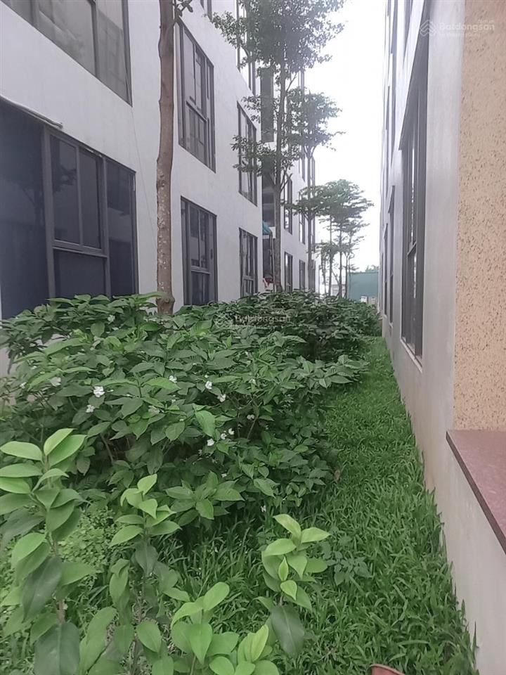 Bảng hàng cho thuê liền kề & biệt thự kđt thanh hà nguồn hàng đa dạng phù hợp ở, kinh doanh