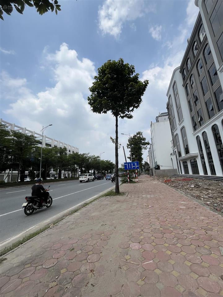 Cho thuê cặp shophouse gần 600m vị trí đắc địa trục cienco5 một mặt đường 60m trục cienco5