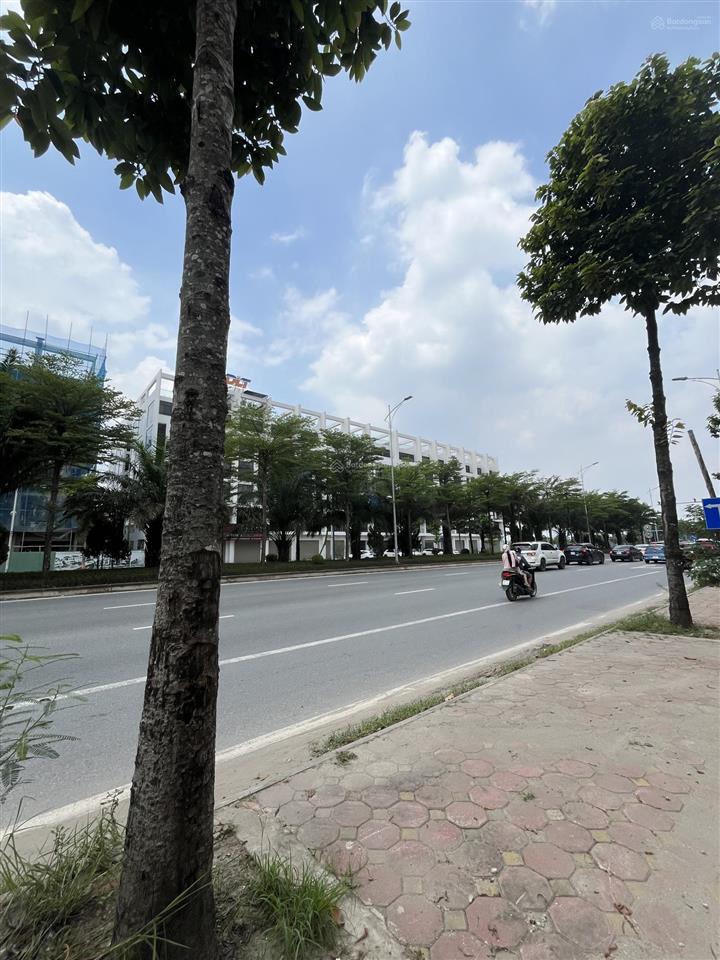 Cho thuê cặp shophouse gần 600m vị trí đắc địa trục cienco5 một mặt đường 60m trục cienco5