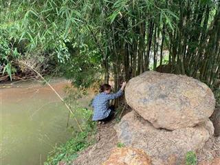 Đất sào siêu rẻ tại bình phước