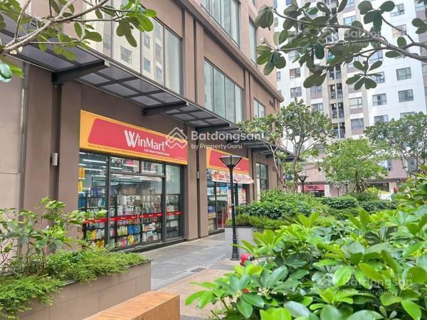 Hot 3pn green river quận 8  80m² chỉ 3 tỷ 270