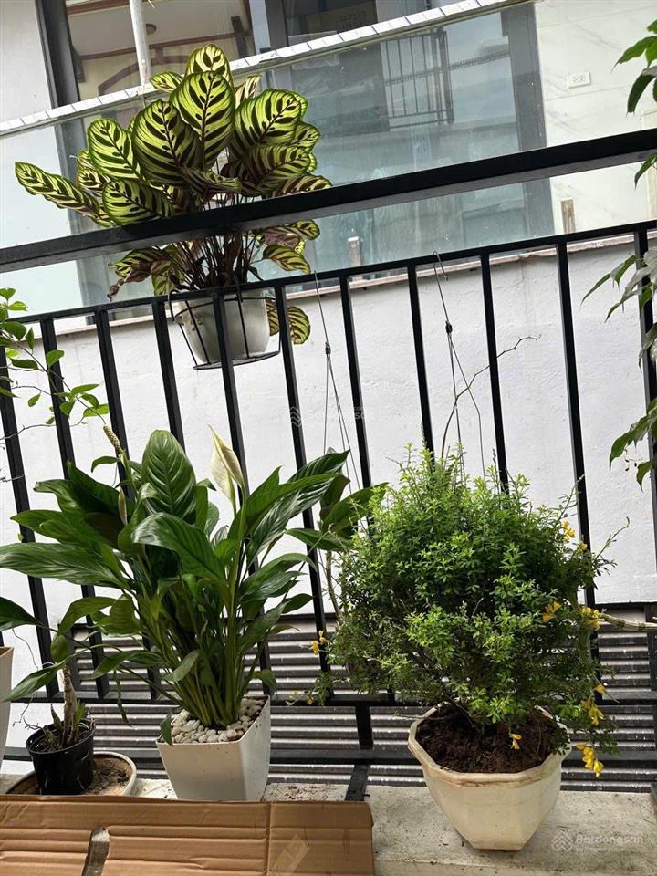 Chính chủ bán nhà khu ngoại giao đoàn 69m mặt tiền 4,80m nở hậu