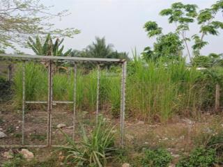 Dxuan1 dt552,8m
giá1ty8 bán đất thổ cư diên xuân mặt tiền đẹp, kinh doanh cực đỉnh