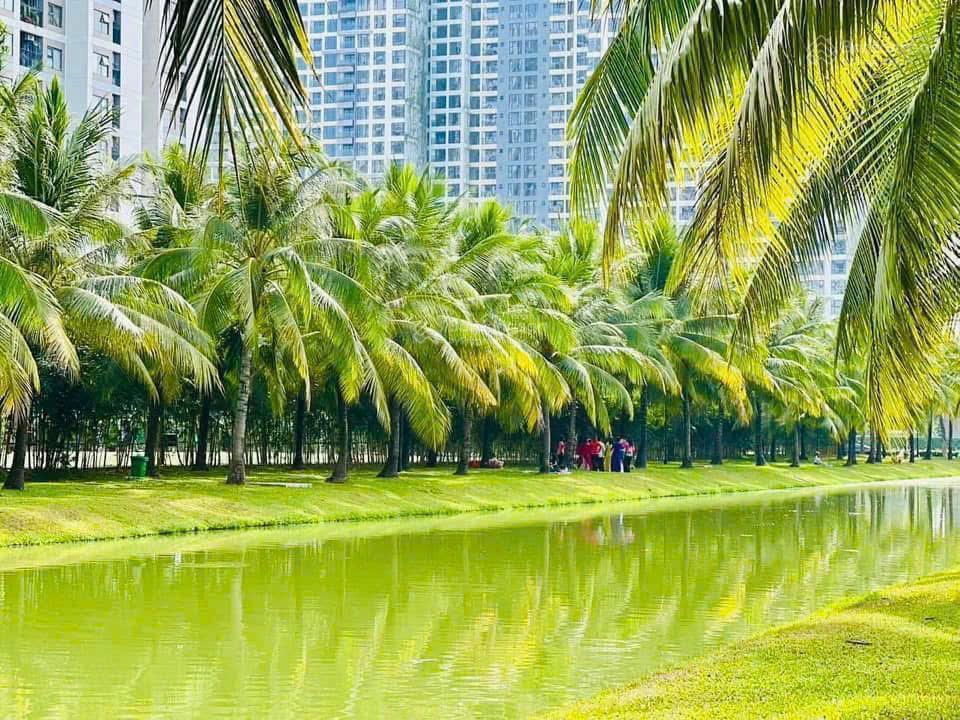 Căn góc 2pn+ 70m2 full nội thất đẹp view sông cho thuê 9tr/tháng
