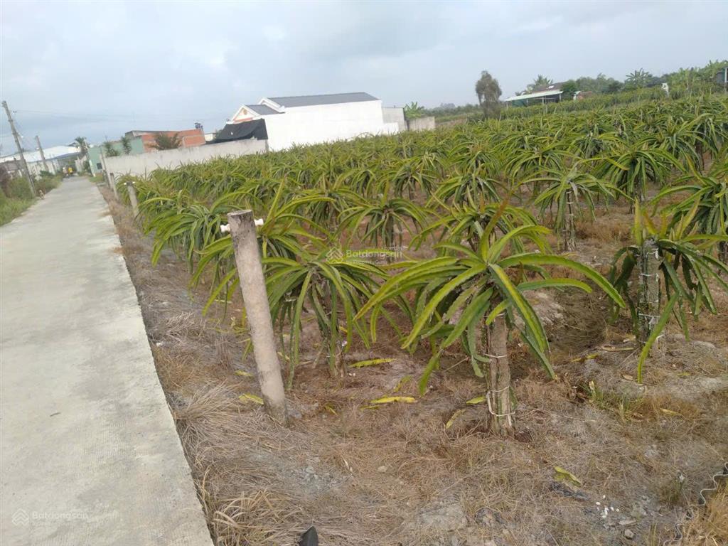 Bán đất tại vĩnh công, 900tr/công, pháp lý đầy đủ, giá siêu hời!