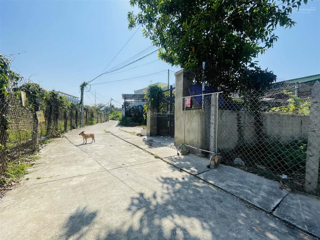 Bán đất tại phường tây nha trang , 2,1 tỷ, 113m2, giá siêu hời hàng hiếm