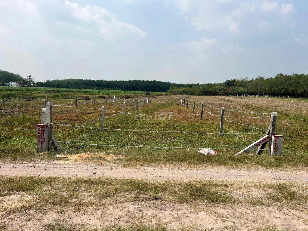 Đất Full Thổ 150m2