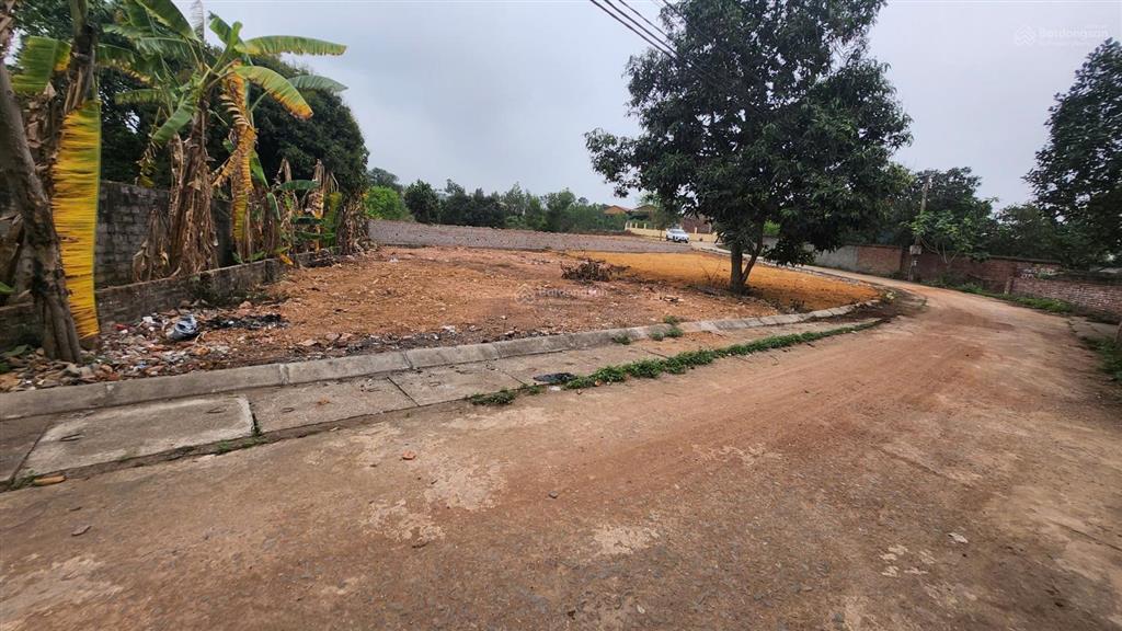 Bán lô góc siêu đẹp 343 m2 ngọc thanh, phúc yên, vĩnh phúc, giá tham khảo tốt trong khu vực