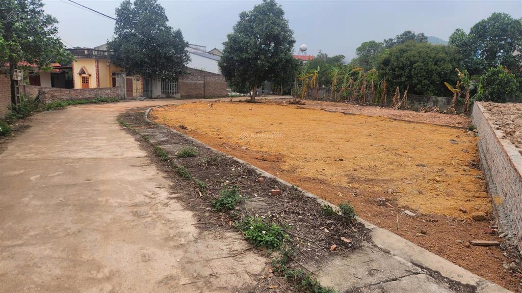 Bán lô góc siêu đẹp 343 m2 ngọc thanh, phúc yên, vĩnh phúc, giá tham khảo tốt trong khu vực