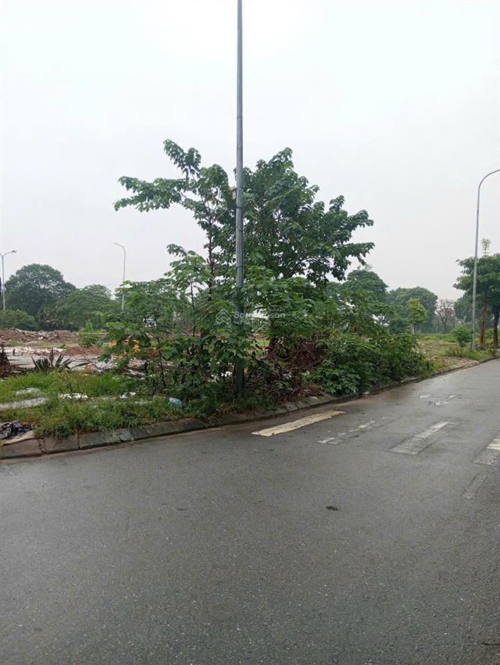 Bán lô đất đẹp tđc đông trù  đông hội  đông anh, gần vin cổ loa, giá siêu rẻ