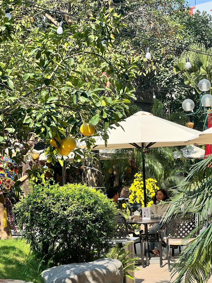 Cđt the terra 83 hào nam đang mở bán, tòa khách sạn cao cấp, mật độ thấp, yên tĩnh tuyệt đối.