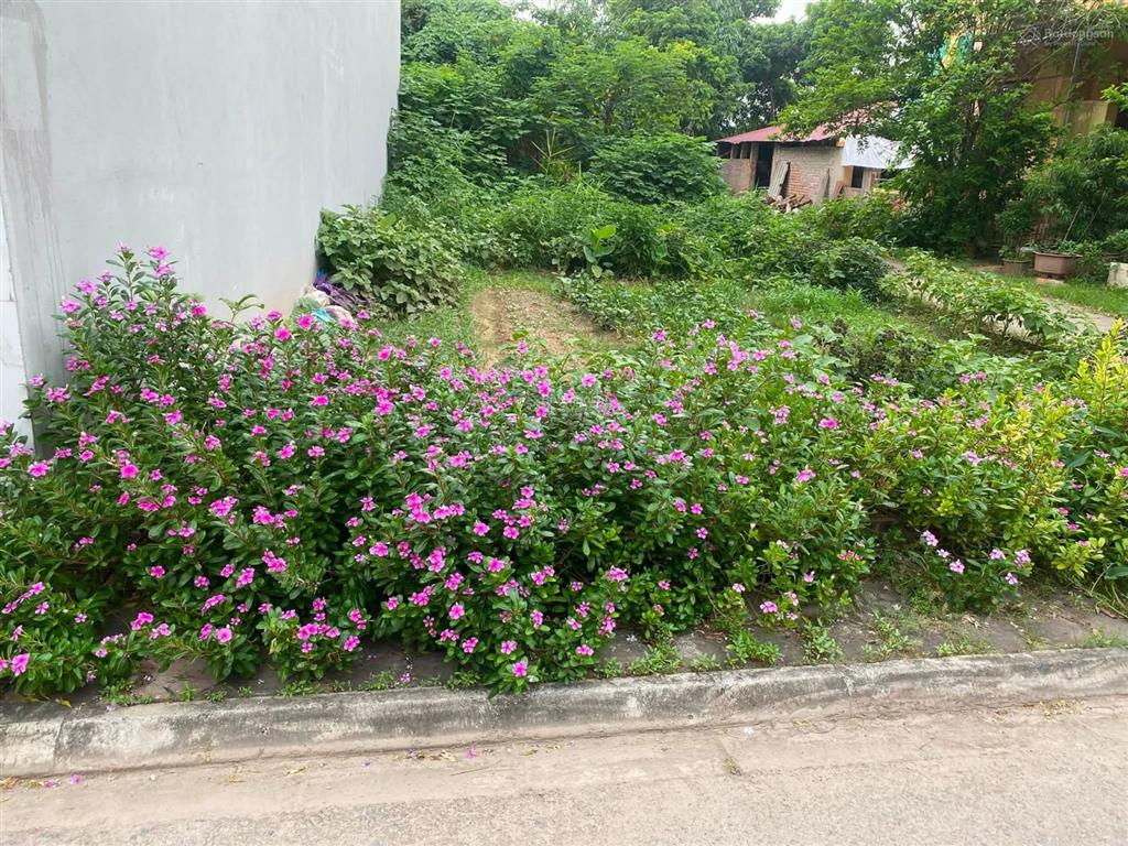 Không phải nơi để ở  nhà là nơi để về  6 tỷ hơn  view hồ  ô tô tránh trước nhà  gia lâm