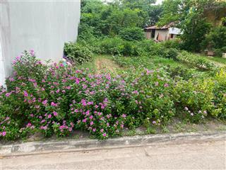 Không phải nơi để ở  nhà là nơi để về  6 tỷ hơn  view hồ  ô tô tránh trước nhà  gia lâm